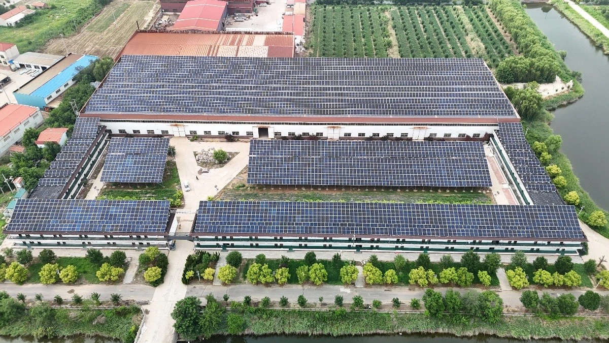 image017-1 image017-1